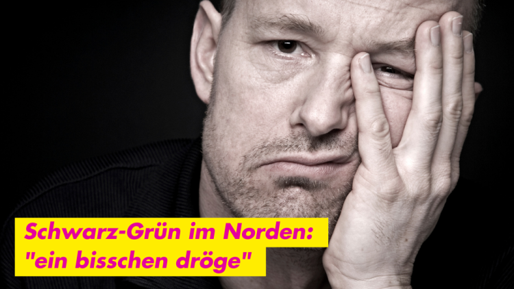 Schwarz-grün im Norden: „Ein bisschen dröge.“